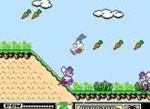 Tiny Toon Adventures - Nintendo NES