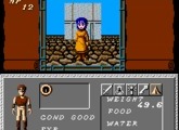 Dungeon Magic - Sword of the Elements - Nintendo NES