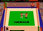 Tag Team Wrestling - Nintendo NES