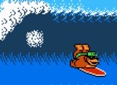 Town & Country Surf Designs - Wood & Water Rage - Nintendo NES